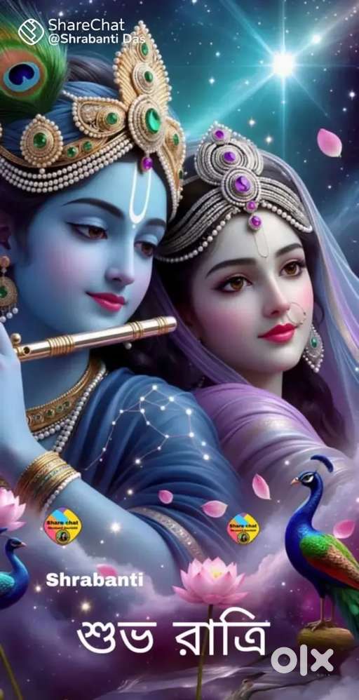 Two room with attached kitchen and toilet