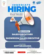 SALES EXECUTIVE