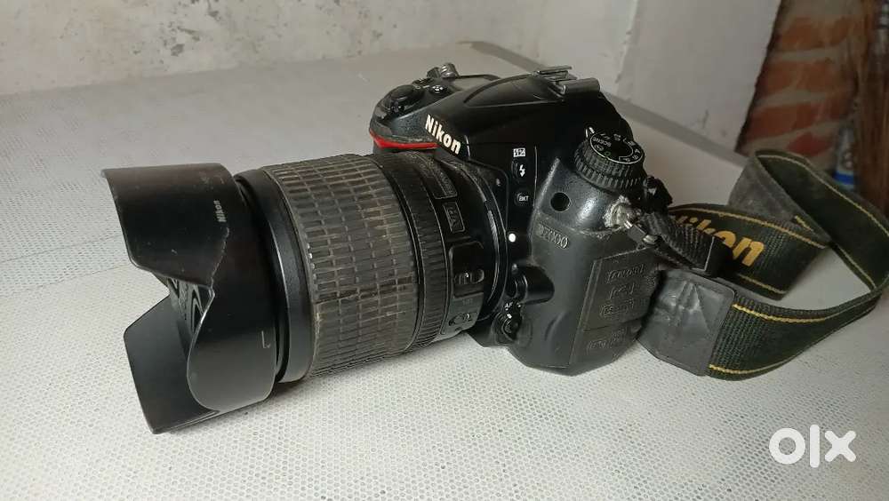 Nikon or canon camera