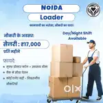 Picker/packer, Loader for dark store
