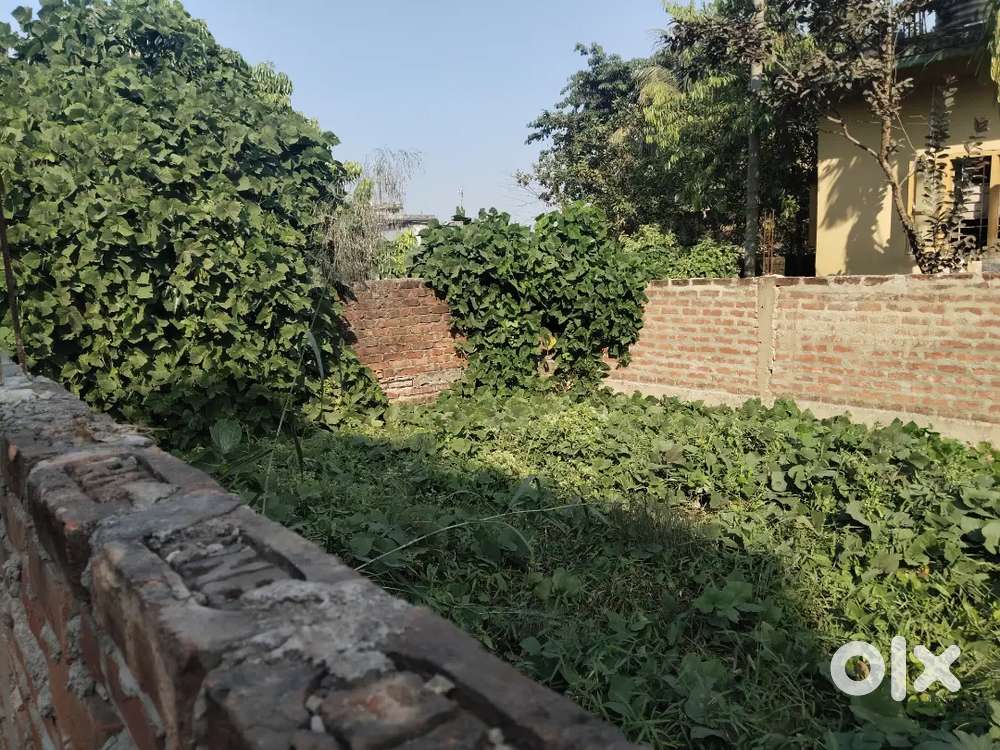 10.50 lessa eksoniya