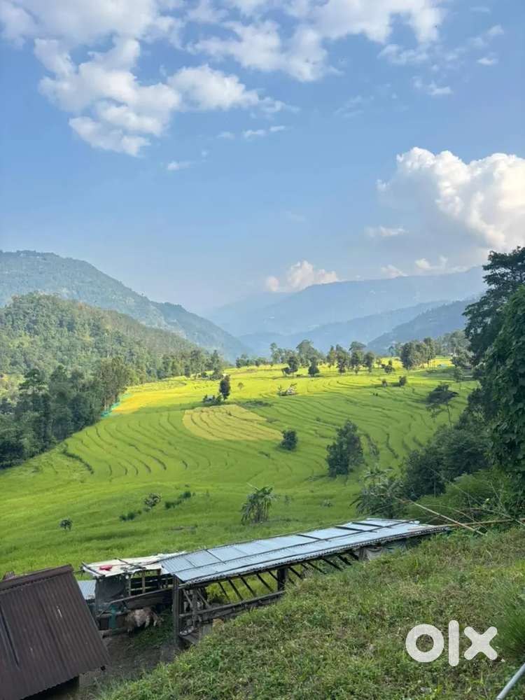 Land for sale near Barbil damn