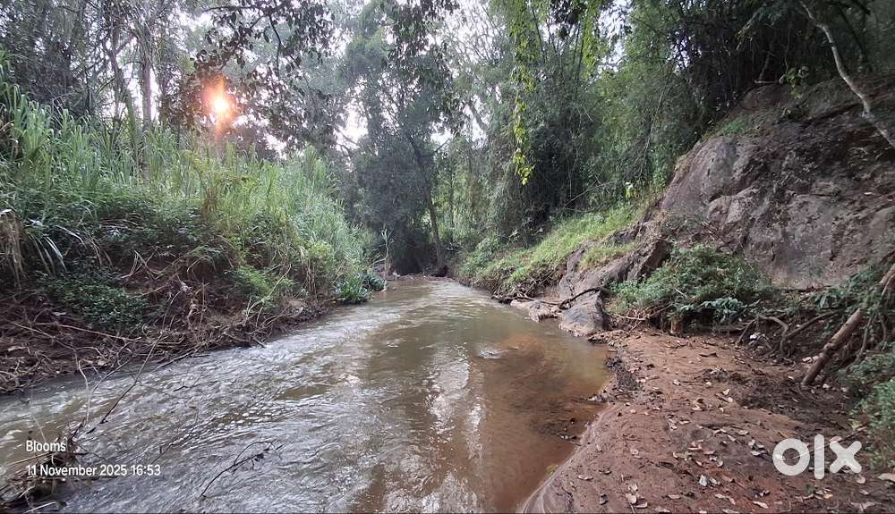 Blooms AQUATICA small plots
