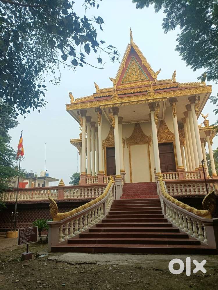 Specialist mentor for various competative exam, play to +2 also