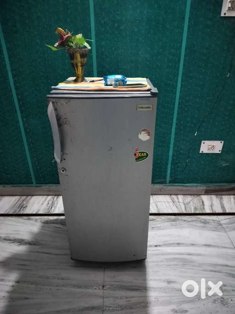 Best fridge