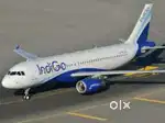 Required for Male and female candidates for indigo Airlines jobs
