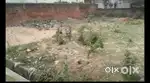 Land for sell