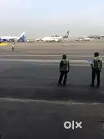 Need fresh candidate job for IGI airport Delhi