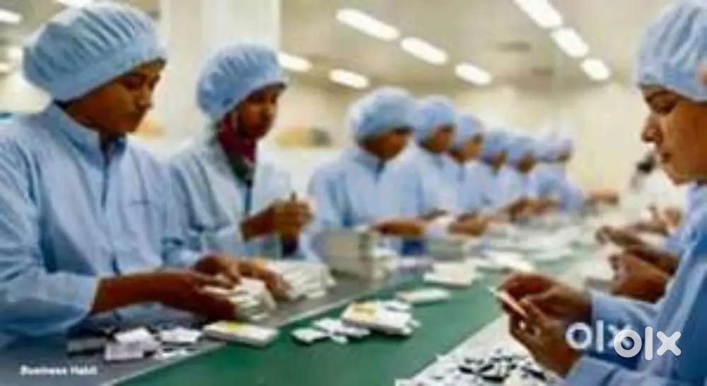 MEDICAL WAREHOUSE PACKING/HELPER/JOB IN WAREHOUSE IN LUCKNOW LOCATION