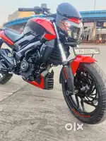 Dominar 250 Next 2 Showroom Con