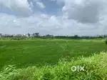 Banglow Plots in 0.3