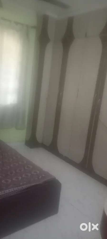 1Bhk fully furnished  rent  family or bacelare  velachry