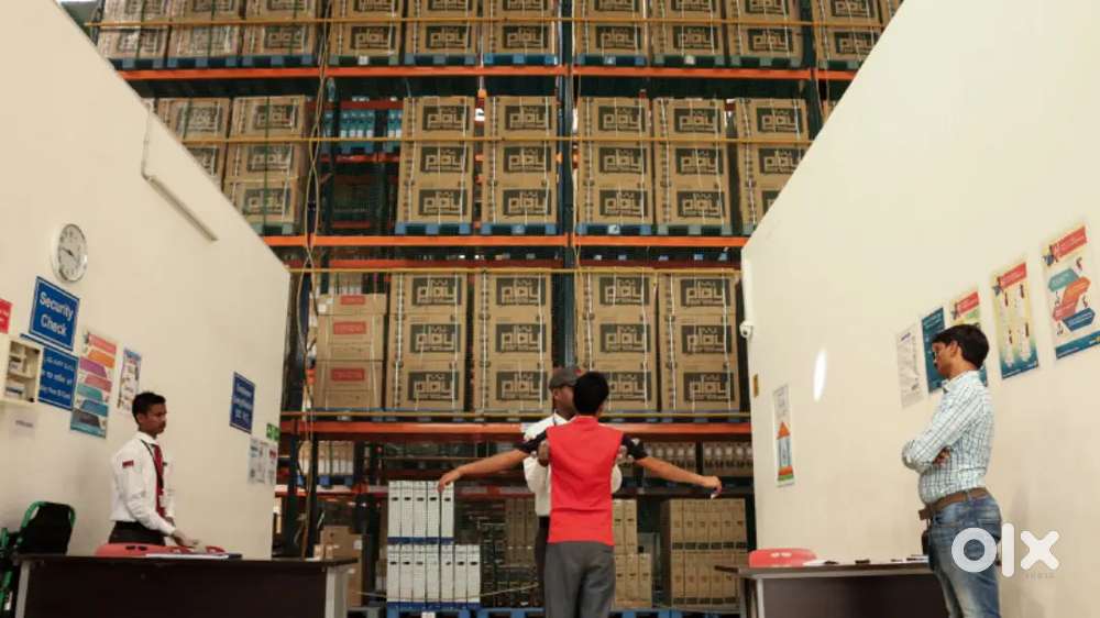 Needed energetic candidates for warehouse company