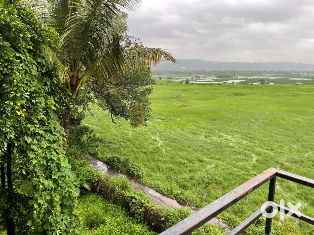 Spacious Paddy Field View 1 Bhk With Lift & Parking