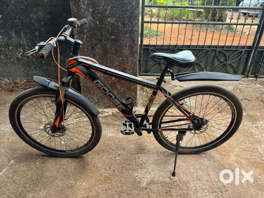 Hector goose bicycle