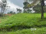 50 Cents of land for sale in Anachal Munnar