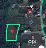1 Bigha Land For Sale urgent requirement