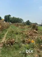 Plot for sale 4 kattha