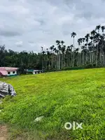 സുൽത്താൻ ബത്തേരിയിൽ ഊട്ടി റോഡ് സൈഡിൽ 10 സെന്റ് സ്ഥലം വിൽപ്പനയ്ക്ക്