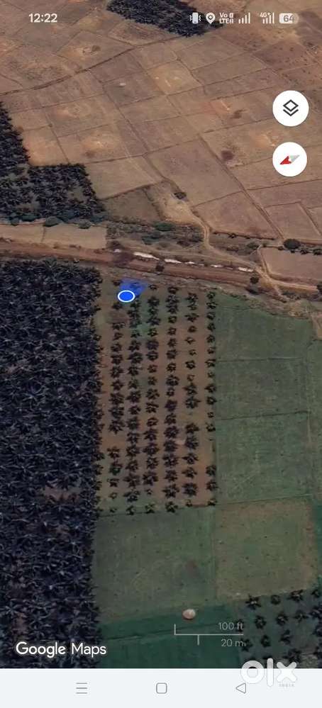 Agriculture Land Selling 1.5 Acre Coconut Farm