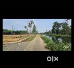 Kothamangalam ayakkad nagenchery house plots for sale