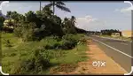 Near to the market and main road