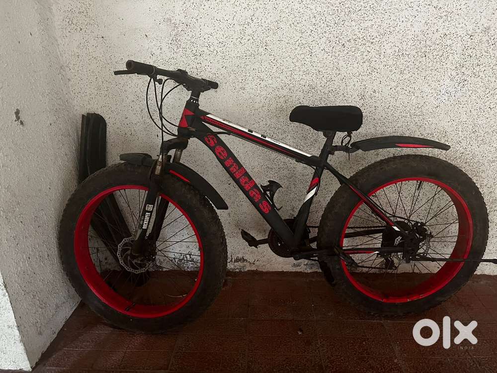 Fat tyre cycle