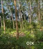 Property to be sold in Muthana, Varkala