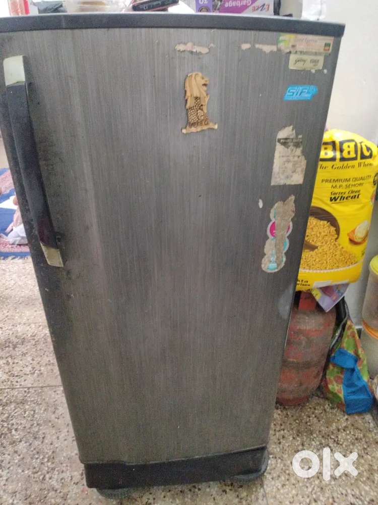 Single door refrigerator