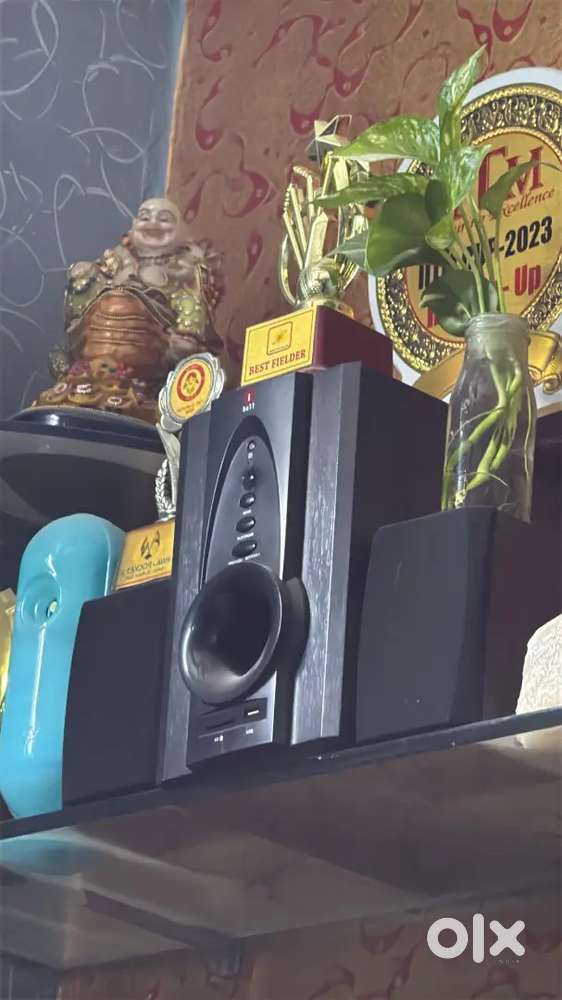 iBall Tarang 2.1 Multimedia Speaker