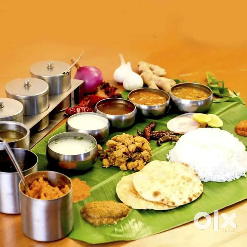 Wanted south indian cook