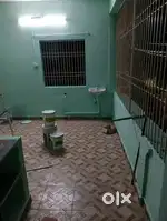 3 bhk house for rent in kadapa Ravindra Nagar Mecca masjid backside