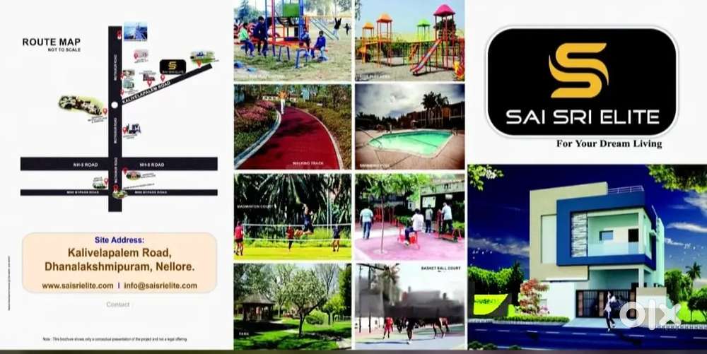 MJ, properties Nellore