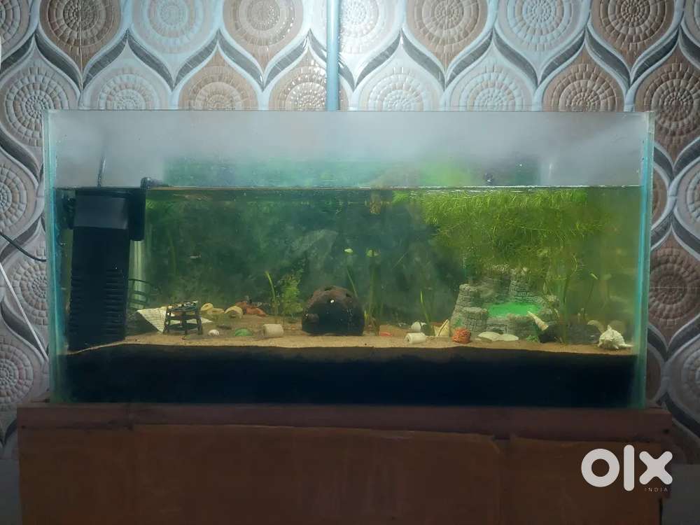2FT fish tank Sale