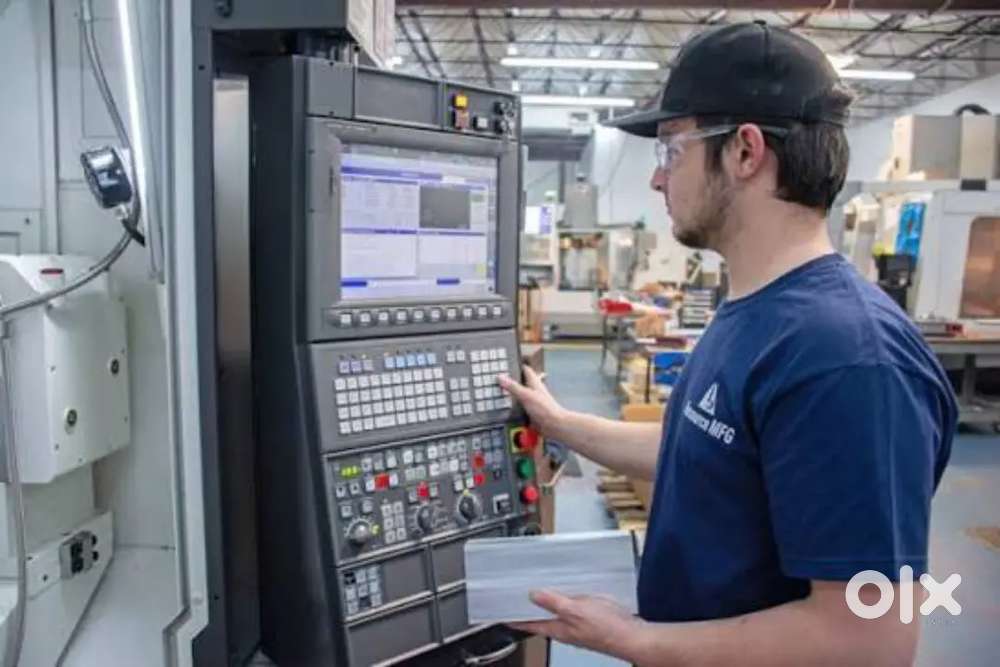 We are hiring jobs for freshers