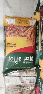 ब्रज भोग
गहु  30 KG                        SORTEX CLEAN WHEAT