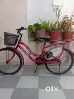 New cycle  local brand