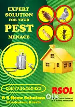 Pest Control Services