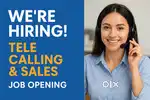 Tele calling work from home ( sales & Support)