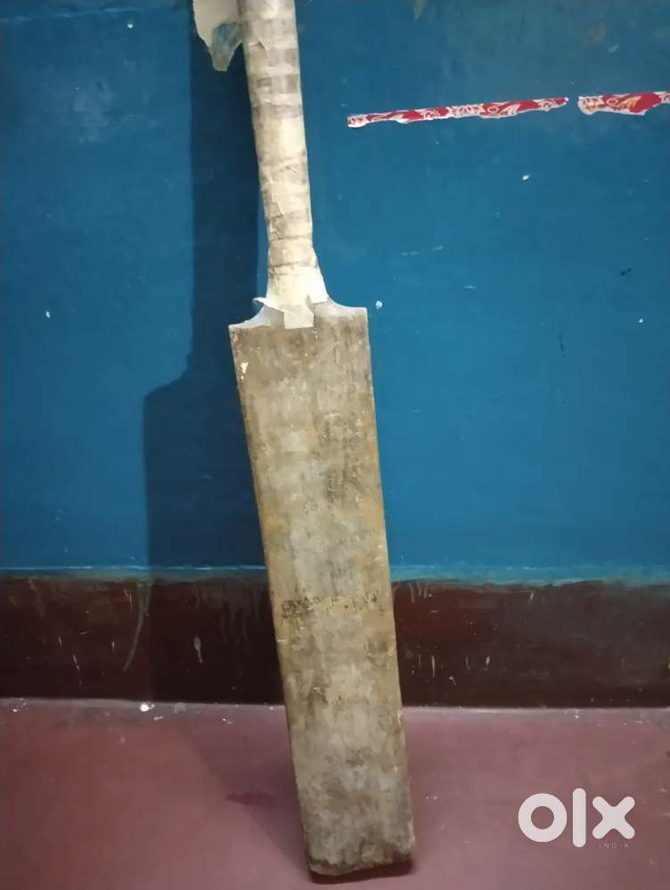Cricket bat