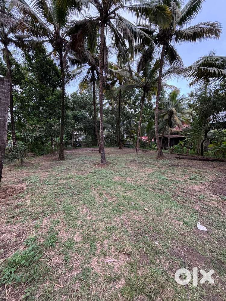 Plot for sale near kakkasheri