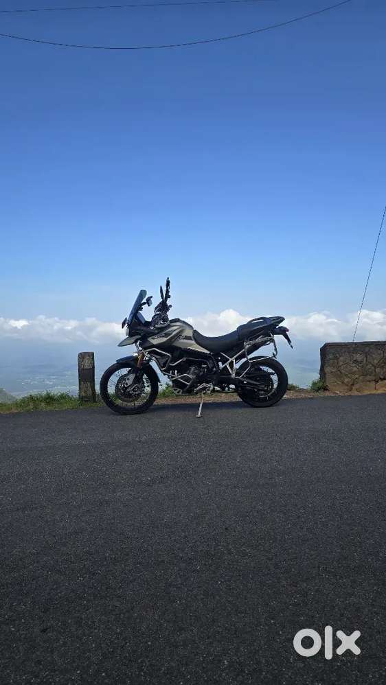Tiger 900 Rally pro 32k loaded for sale
