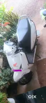 Well maintain activa white