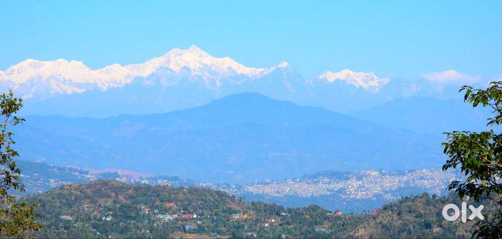 Kanchenjunga View land sale in samthar , Kalimpong