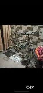 Gear cycle