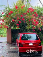 Maruti Suzuki zen minor  2004 Petrol Good Condition