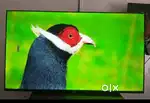 43 inch smart android frameless led tv 10999