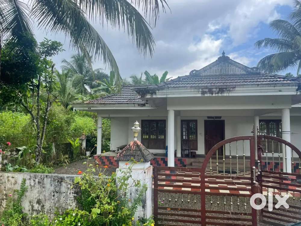3BHK HOUSE (10 cents) for sale at PAINGOTOOR (THODUPUZHA)