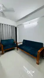 Premium sofa set in cheap price