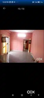 Koi e fiza